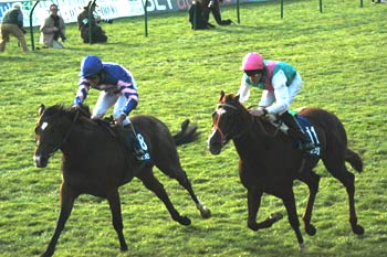 La gemela del Dewhurst ya conoce Newmarket de cara a las 2.000 guineas. Foto: Jesús de Miguel