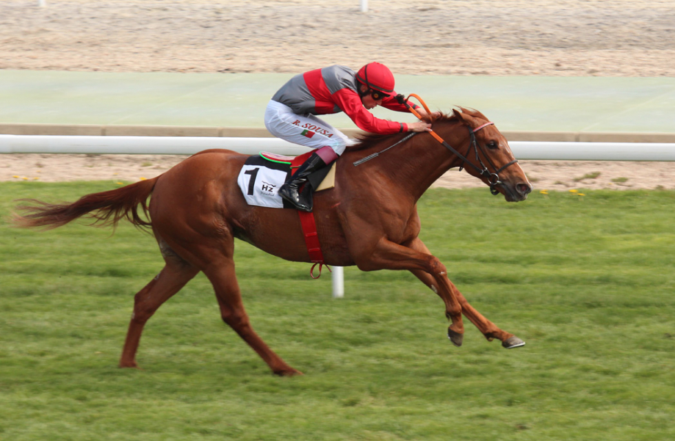 Another Day of Sun (R.Sousa) sin rival en el Torre Arias. Foto: HZ Shaya. Foto:A Galopar