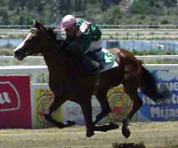  HECHICERO gana fácil. Foto: Santos Ríos