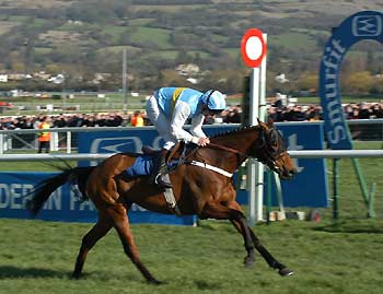 HARDY EUSTACE, en el punto culminante de la colina de Cheltenham. Foto: Jesús de Miguel