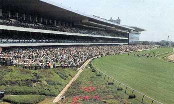 Hipódromo de Fuchu en Tokyo, el escenario del Derby japonés