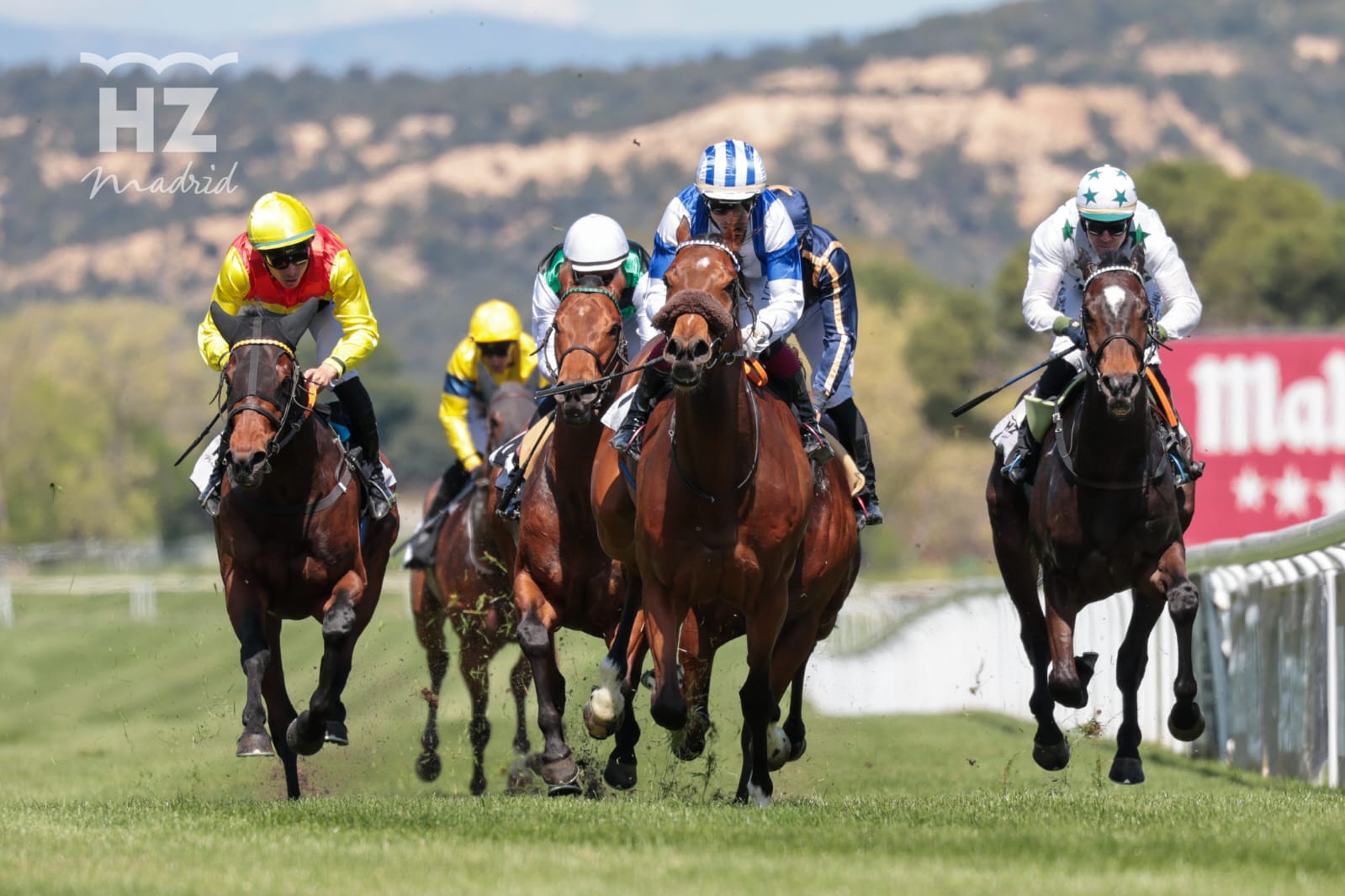 MAXIMUM SCEPTICISM.   Foto: 