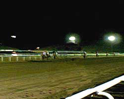 HECHICERO remata sobre MISTER QUICKSAND. Foto: Santos Ríos