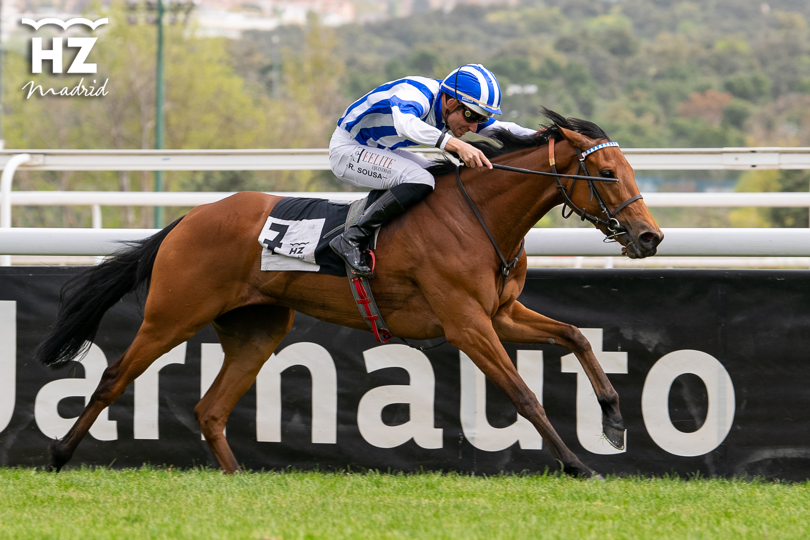 SPIRITUALE (R.Sousa) se llevó la victoria en el premio Atlantida. Foto: HZ Spirituales. Foto: