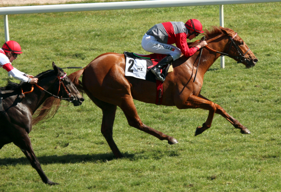 Another Day of Sun (R.Sousa) se lleva el Handicap Opcional. Foto: A Galopar Another. Foto:
