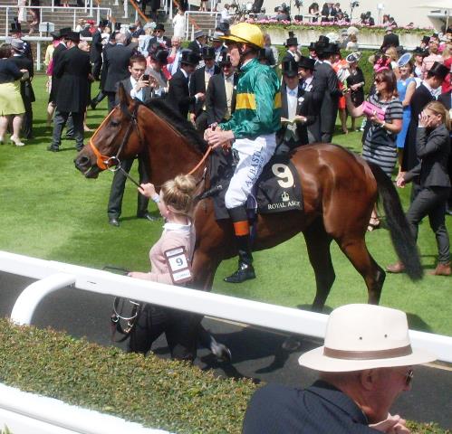 Iluminate (Albany Stakes). Foto: Pedro Mercado Iluminate. Foto: