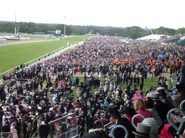 Ascot. Foto: 