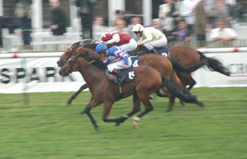 MILK IT MICK (33/1) apuntándose un Grupo 3 a dos años en Newmarket, con BACHELOR DUKE (25/1) tercero. Foto: Jesús de Miguel