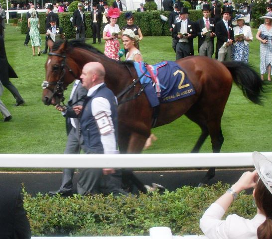 Cracksman. Foto: 