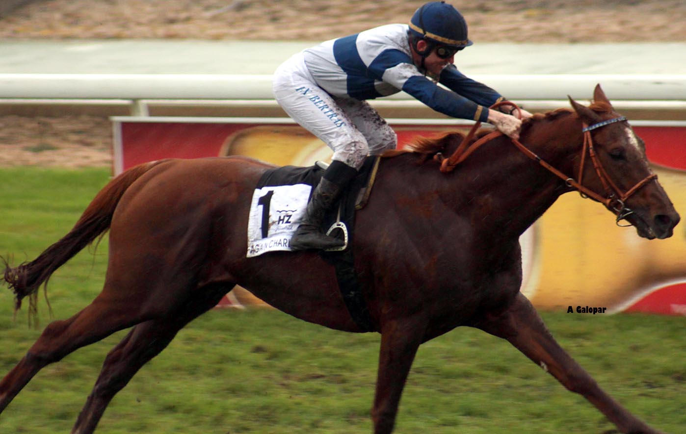 Again Charlie (F.X.Bertras). Foto: A Galopar Again Charlie. Foto: