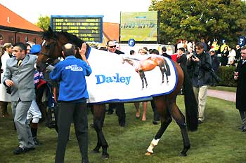 El ganador del Dewhurst, un caballo de menos a más que apunta a las Guineas. Foto: Jesús de Miguel