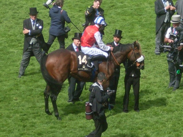 Profitable (A.Kirby), 1º en el King’s Stand Stakes. Foto: Pedro Mercado Ervedya. Foto: