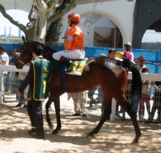 Premiere Vision . Foto: Shergar