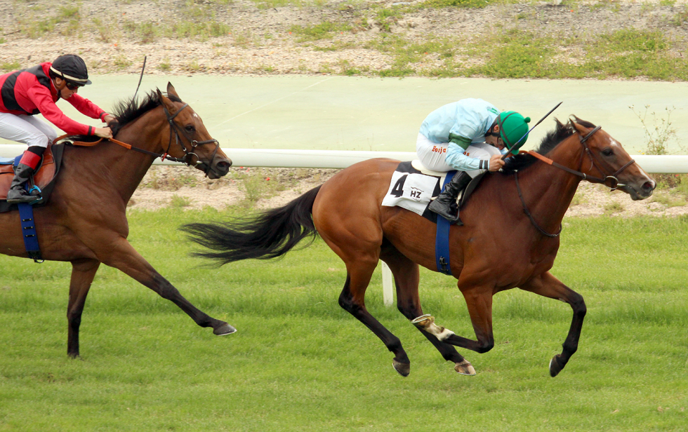 Federico (B.Fayos) se va de Tuvalu en el Premio Rheffissimo. Foto: A Galopar-Hz Federico. Foto: