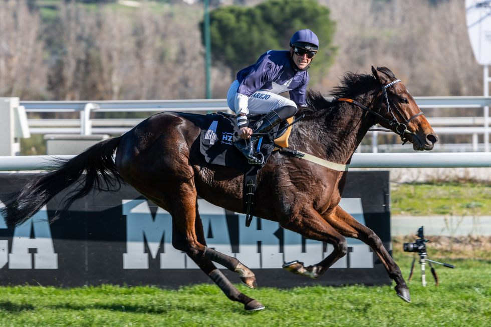 GREAT PROSPECTOR (I.Melgarejo) se exhibe en el Antonio Blasco. Foto: HZ Great. Foto: