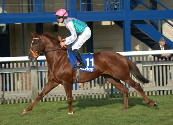 Pese a su reciente derrota en la misma Rowley Mile, THREE VALLEYS mantiene una segunda opción (16/1). Foto: Jesús de Miguel