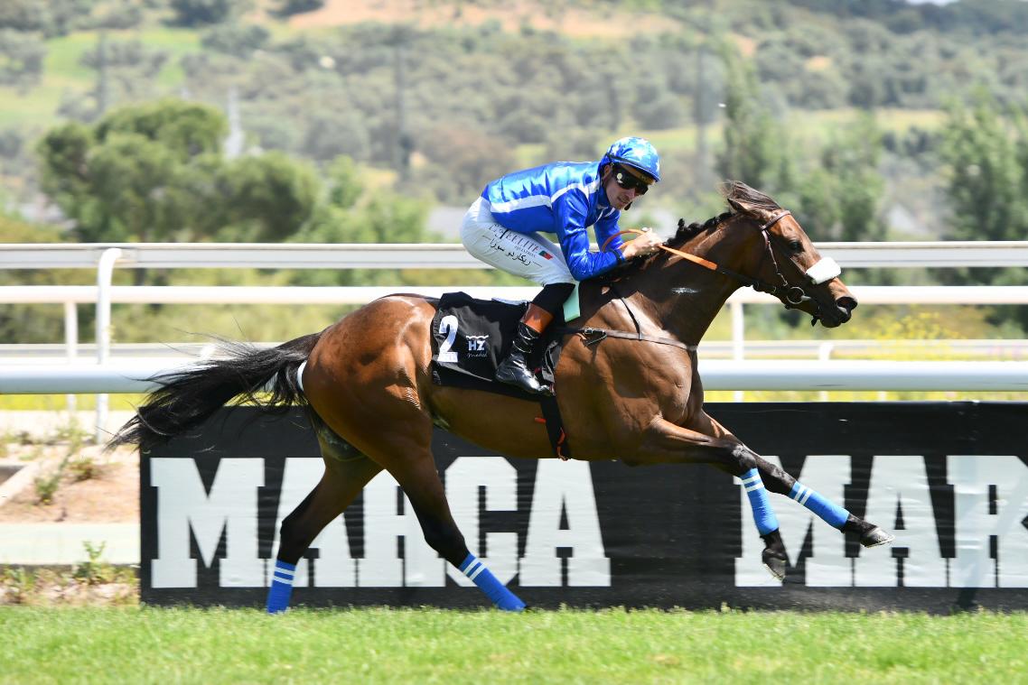 GELINOTTE (R.Sousa) no encontró rival en el Valderas. Foto: HZ GELINOTTE. Foto: