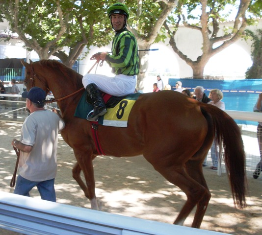 Entre Copas Foto: Shergar