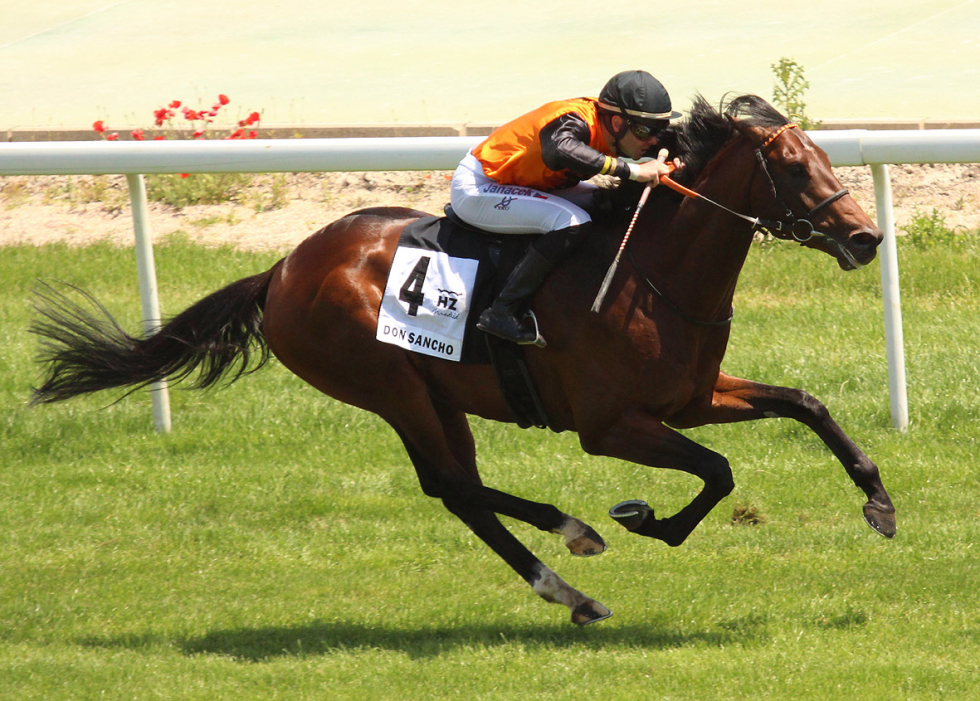 Don Sancho (V.Janacek) ganador del Villapadierna 2018. Foto: A Galopar-Hz Don Sancho. Foto: