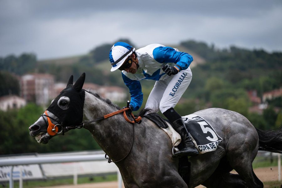 ESPOIR AVENIR (E.Corallo), ganador de la Copa de Oro 2026. Foto: Hipodromoa ESPOIR AVENIR. Foto: