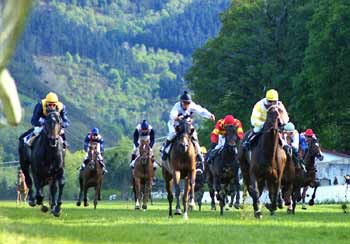 RUENTE ( Montenegro ) cazó con autoridad al fugado PIOJO. Foto: EquipoZoom