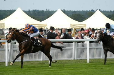 Gleneagles, sin rival en el St James’s Palace. Foto: Jesús de MIguel Gleneagles. Foto: