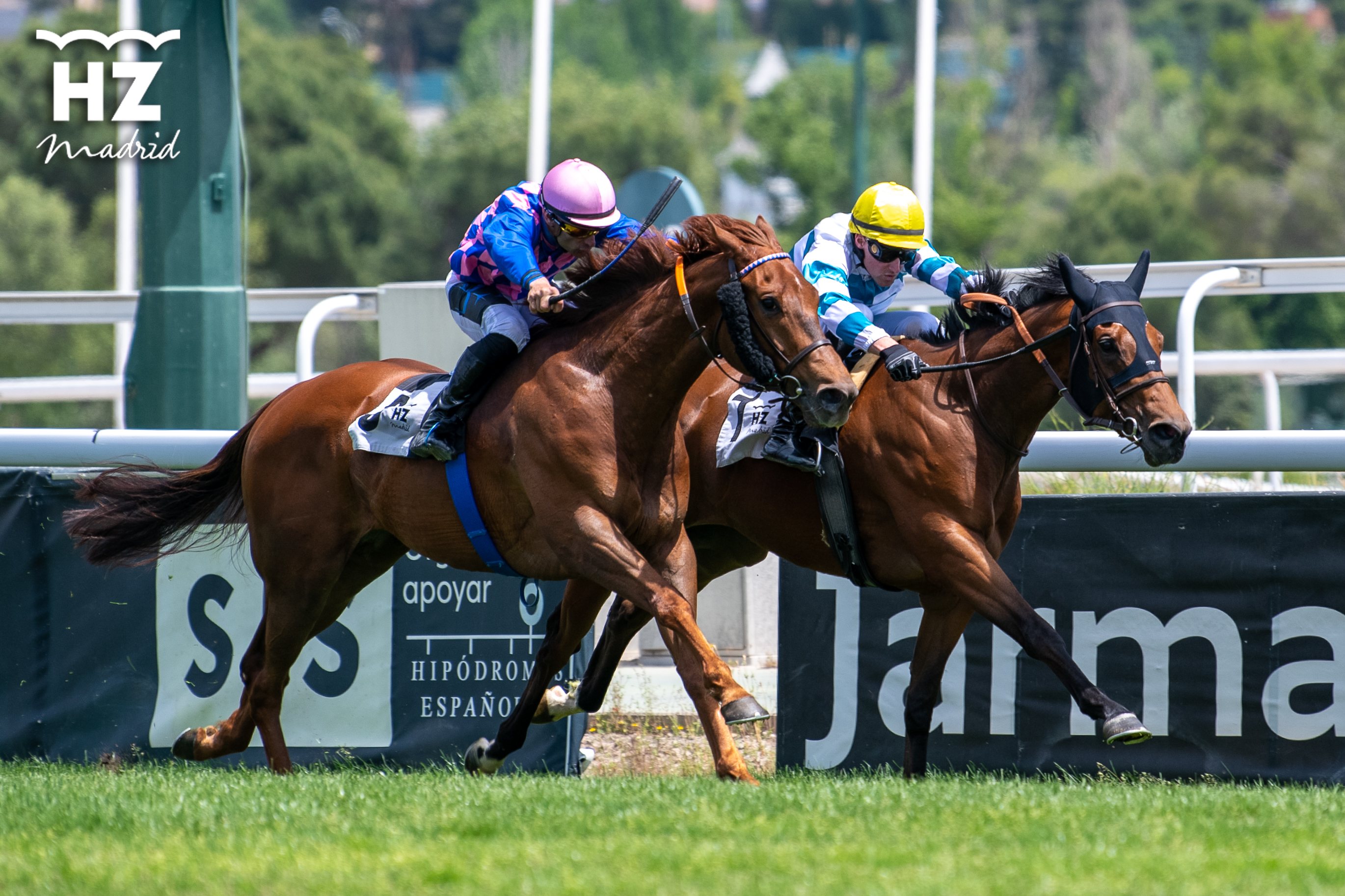 FAITH ROSE (E.Corallo) aguanta el ataque de THE SNAPPER (B.Fayos). Foto: HZ FAITH ROSE. Foto:
